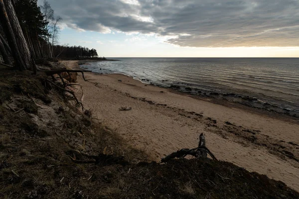 Piasek z mchu i nastrojowe niebo na Morzu Bałtyckim w pobliżu zachodu słońca-Veczemju Klintis, Łotwa-13 kwietnia 2019 — Zdjęcie stockowe