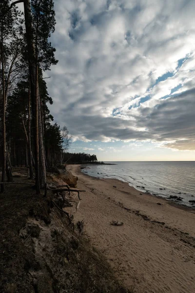 Piasek z mchu i nastrojowe niebo na Morzu Bałtyckim w pobliżu zachodu słońca-Veczemju Klintis, Łotwa-13 kwietnia 2019 — Zdjęcie stockowe