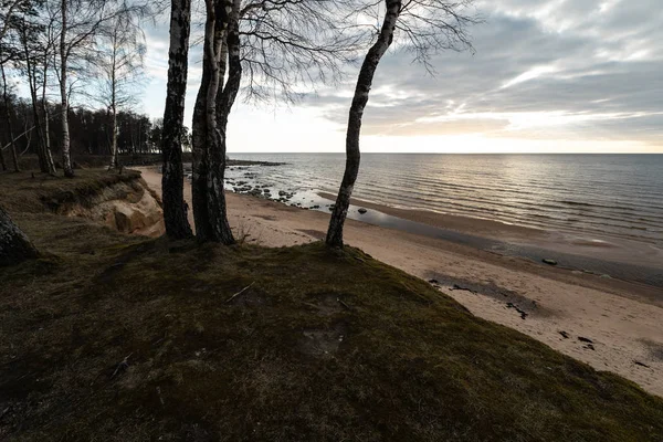 Piasek z mchu i pochmurne niebo na plaży nad Morzem Bałtyckim-Veczemju Klintis, Łotwa-13 kwietnia 2019 — Zdjęcie stockowe