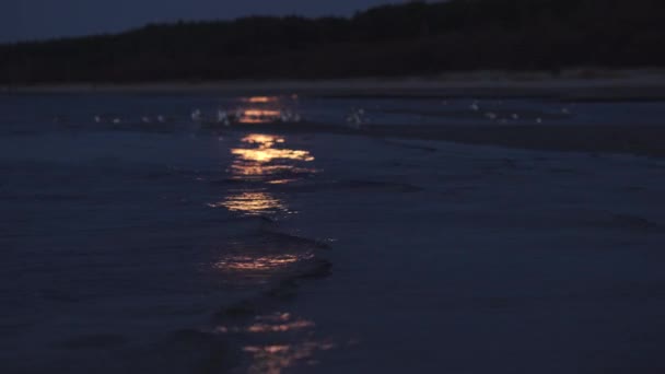 Gran Luna enorme ilumina el mar con un rastro de luz de la luna - 4K paisaje de imágenes profesionales - Gaviota marina y cormorán en el agua - Europa del Este — Vídeo de stock