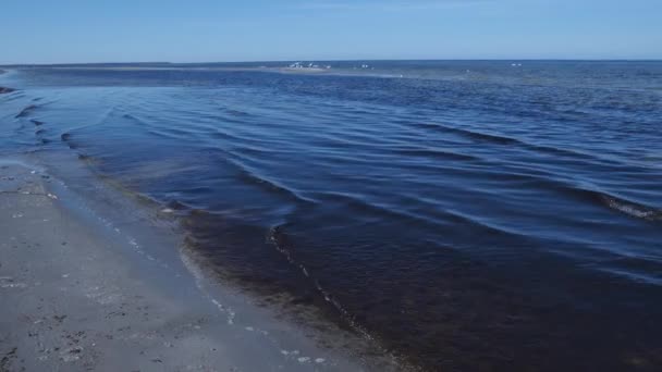 Морська вода в Балтійському морі з темним квітучим бур'янами і сонцем зверху — стокове відео