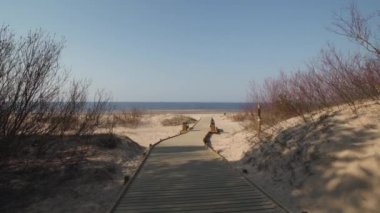 Çam ve beyaz baltık denizi körfezine gönderilen plaj kumul ormandan giden yeni ahşap yol - Vecaki, Letonya