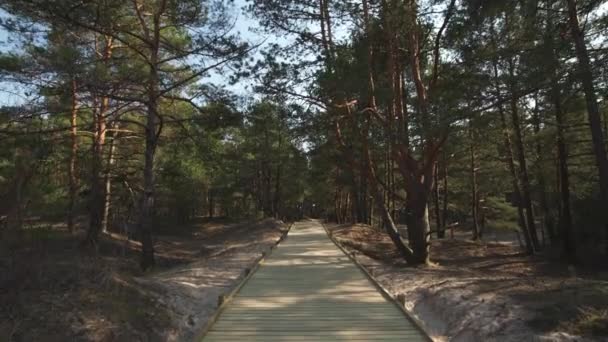 Nouvelle route en bois menant de la plage du golfe de la mer Baltique avec sable blanc à la forêt de dunes avec des pins — Video