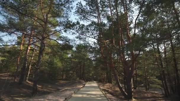Nuevo camino de madera que conduce desde la playa del golfo del Mar Báltico con arena blanca hasta el bosque de dunas con pinos — Vídeo de stock