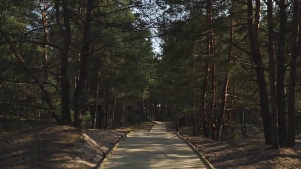 Nuova strada in legno che conduce dalla spiaggia del golfo del Mar Baltico con sabbia bianca alla foresta di dune con pini — Video Stock