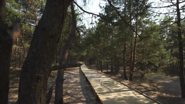 Nuevo camino de madera que conduce desde la playa del golfo del Mar Báltico con arena blanca hasta el bosque de dunas con pinos — Vídeo de stock