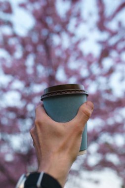 Kağıt kahve ile El - Riga bir parkta renkli sakura kiraz çiçeği, Letonya Doğu Avrupa başkenti - Pembe ve macenta renkler gün batımı nda