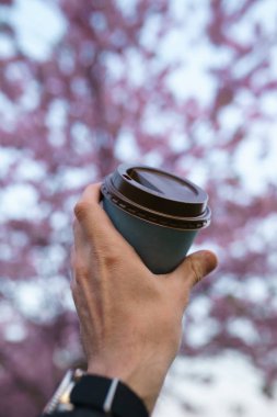 Kağıt kahve ile El - Riga bir parkta renkli sakura kiraz çiçeği, Letonya Doğu Avrupa başkenti - Pembe ve macenta renkler gün batımı nda