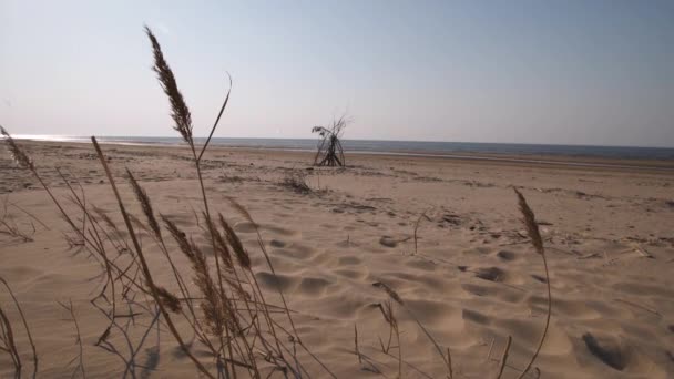 Praia do golfo do mar Báltico com areia branca ao pôr-do-sol - Vídeo 4K com câmera lenta e estabilização interna portátil — Vídeo de Stock