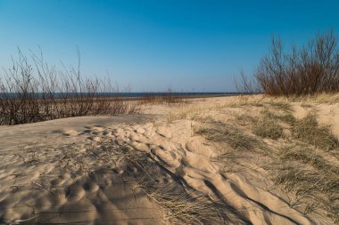 Dokulu kum gibi tatlı - gün batımında beyaz kum ile Baltık denizi körfez plaj