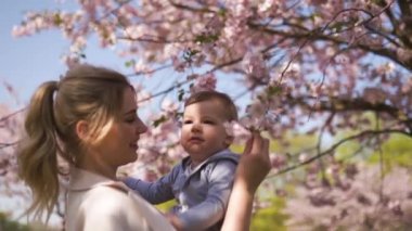 Genç anne düşen pembe yaprakları ve güzel çiçekleri ile çiçek açan Sakura Kiraz ağaçları altında onu küçük bebek erkek çocuk çocuk tutan