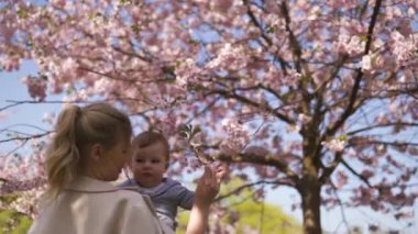Genç anne düşen pembe yaprakları ve güzel çiçekleri ile çiçek açan Sakura Kiraz ağaçları altında onu küçük bebek erkek çocuk çocuk tutan