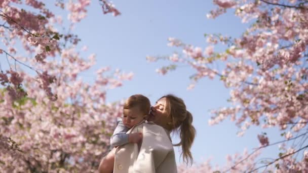 Молодая мама держит своего маленького сына мальчика ребенка под цветущими сакурой вишни с падающими розовыми лепестками и красивыми цветами — стоковое видео