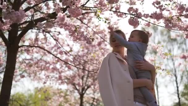 Junge Mutter Mutter hält ihren kleinen Sohn Junge Kind unter blühenden Sakura-Kirschbäumen mit fallenden rosa Blütenblättern und schönen Blumen — Stockvideo