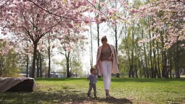 Jonge moeder lopen met haar baby jongen kind zoon in een park onder sakura bomen — Stockvideo