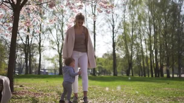 Genç anne Sakura ağaçlarının altında bir parkta onun bebek erkek çocuk oğlu ile yürüyüş — Stok video