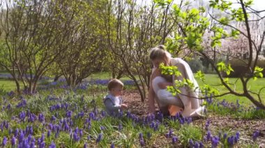 Genç anne Bahar bir muscari alanında bir erkek bebek oğlu ile yürüyüş - Güneşli gün - Üzüm sümbül