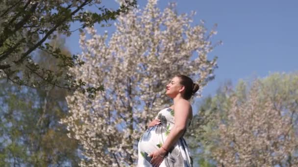 Gelukkig jong binnenkort moeder moeder-jonge reiziger zwangere vrouw geniet van haar vrije tijd in een park met bloeiende Sakura kersenbomen dragen een zomer licht lange jurk met bloemen patroon — Stockvideo