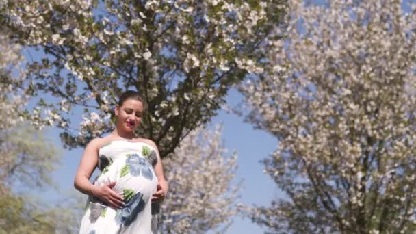 Mutlu genç yakında anne olmak - Genç gezgin hamile kadın çiçek açan sakura kiraz ağaçları çiçek desenli bir yaz ışık uzun elbise giyen bir parkta boş zaman sahiptir — Stok video