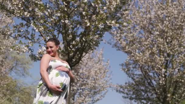 Glücklich jung, bald Mutter - junge Reisende schwangere Frau genießt ihre Freizeit in einem Park mit blühenden Sakura-Kirschbäumen in einem sommerlichen hellen langen Kleid mit Blumenmuster — Stockvideo
