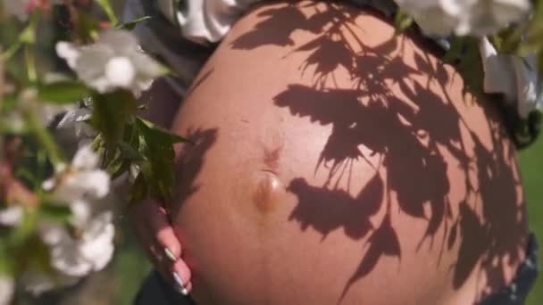 Close-up shot van een laatste maand buik-jonge reiziger zwangere vrouw geniet van haar vrije tijd vrij in een park met bloeiende Sakura kersenbomen aaien haar binnenkort te worden geboren baby met een hand — Stockvideo