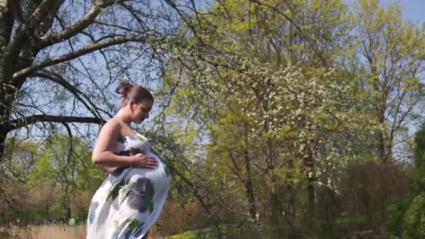 Jeune voyageuse enceinte marchant, courant, se retournant et jouissant de son temps libre dans un parc avec des cerisiers sakura en fleurs portant une robe longue lumière d'été avec motif de fleurs — Video