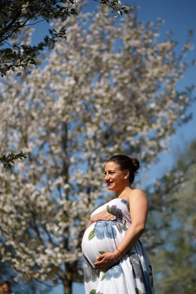 Boldog fiatal hamarosan anya anyja-fiatal utazó terhes nő élvezi szabadidő szabad idő egy parkban virágzó Sakura cseresznyefa viselése nyári fény hosszú ruha virágmintás — Stock Fotó
