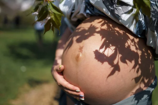 Son bir ay göbek çekim kapatın - Genç gezgin hamile kadın bir el ile bebek yakında doğmak için onu okşama çiçek açan sakura kiraz ağaçları ile bir parkta boş zaman sahiptir — Stok fotoğraf