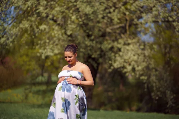 Νεαρή ταξιδιώτης έγκυος γυναίκα περπάτημα, τρέξιμο, στροφή γύρω και απολαμβάνει ελεύθερο χρόνο της σε ένα πάρκο με ανθισμένες κερασιές sakura φορώντας ένα καλοκαιρινό φως μακρύ φόρεμα με μοτίβο λουλούδι — Φωτογραφία Αρχείου