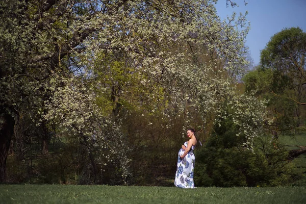 Fiatal utazó terhes nő sétál, fut, megfordul, és élvezi szabadidejét a parkban virágzó sakura cseresznyefák visel nyári fény hosszú ruhát virágmintás — Stock Fotó