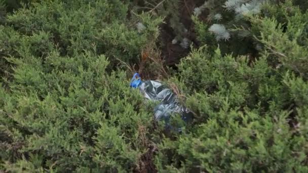 Голубая большая пластиковая бутылка, лежащая на земле на дереве в лесу парка - Выброшенная не переработанная - Мусор и загрязнение города и природы - Разлагающийся мусор — стоковое видео