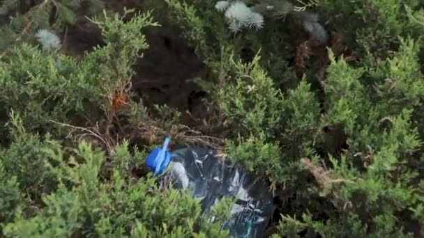 Garrafa de plástico grande azul que jaz no chão em árvore em uma floresta de parque - Lançada fora não reciclada - Lixo e poluição da cidade e da natureza - Lixo deteriorado — Vídeo de Stock