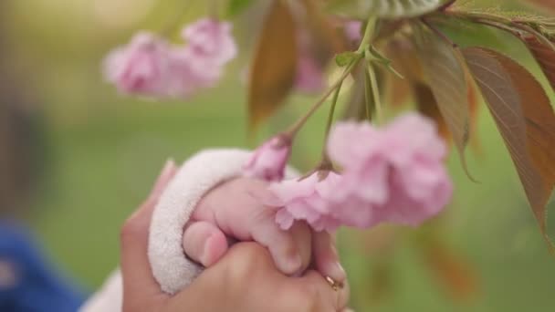 Joven madre mujer disfrutando de tiempo libre con su bebé niño niño blanco caucásico con una mano de los padres visible Vestido de blanco en general con corazones, mamá en azul — Vídeos de Stock