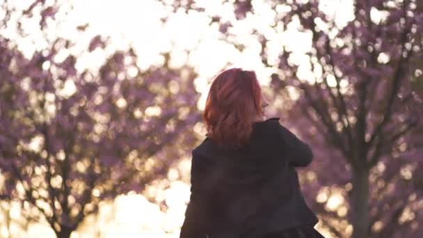 Feliz joven bailarina de viaje disfrutando de tiempo libre en un parque de flores de cerezo sakura - Chica pelirroja blanca caucásica - Vestido chocker negro, vestido negro y golfos negros — Vídeos de Stock