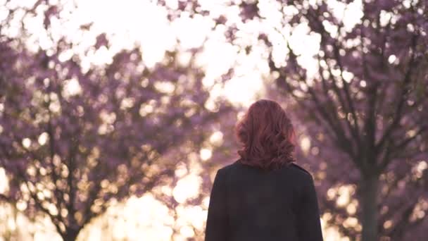 Felice giovane ballerina di viaggio donna godendo il tempo libero in un parco di fiori di ciliegio sakura - Bianca ragazza rossa caucasica - Vestita chocker nero, vestito nero e golfisti neri — Video Stock