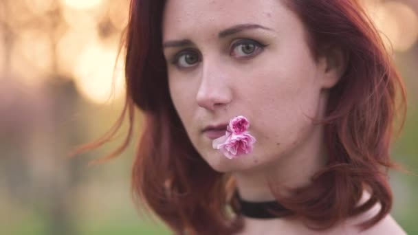 Retrato de la cara de cerca - Feliz joven bailarina de viaje disfrutando de tiempo libre en un parque de flores de cerezo sakura - Chica pelirroja blanca caucásica - Vestido negro gargantilla, vestido negro y golfos negros — Vídeos de Stock