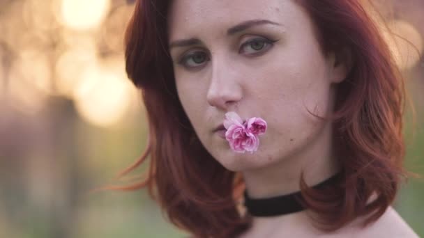 Face portrait close up - Happy young travel dancer woman enjoying free time in a sakura cherry blossom park - Caucasian white redhead girl - Dressed black chocker, black dress and black golfs — Stock Video