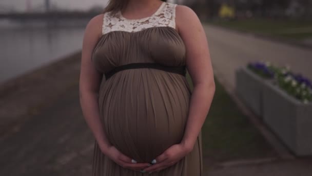 Vasthouden van buik close up-jonge zwangere vrouw is blij in haar reisbestemming land Letland met uitzicht over de stad Riga en de rivier de Daugava-witte Kaukasische meisje dragen moederschap jurk — Stockvideo