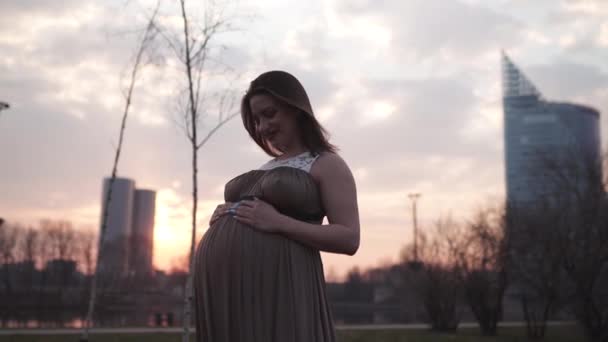 Manteniendo el vientre de cerca - Mujer embarazada joven es feliz en su país de destino Letonia con vistas a la ciudad de Riga y el río Daugava - Chica blanca caucásica con vestido de maternidad — Vídeo de stock