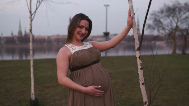 Puesta de sol viva magenta - Mujer embarazada joven es feliz en su país de destino Letonia con vistas a la ciudad de Riga y el río Daugava - Chica blanca caucásica con vestido de maternidad — Vídeo de stock