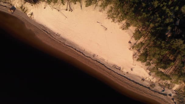 Duna blanca aérea en el río Lielupe en Varnukrogs - Golden Hour sunset top view from above - Drone shot with evergreen pine seaside forest visible in the background - Balta Kapa — Vídeos de Stock