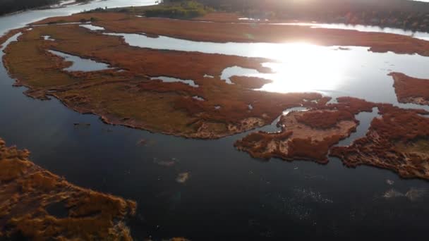 Aerial Swamp på floden Lielupe i Varnukrogs-Golden Hour Sunset uppifrån utsikt från ovan-Drone Shot med Evergreen Pine Seaside Forest synlig i bakgrunden-Balta kapa i Europeiska Lettland — Stockvideo