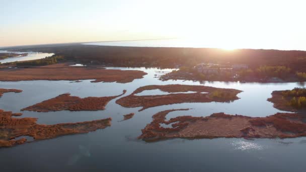Palude aerea sul fiume Lielupe a Varnukrogs - Golden Hour tramonto vista dall'alto - Drone colpo con foresta seaside pino sempreverde visibile sullo sfondo - Balta Kapa in Lettonia europea — Video Stock
