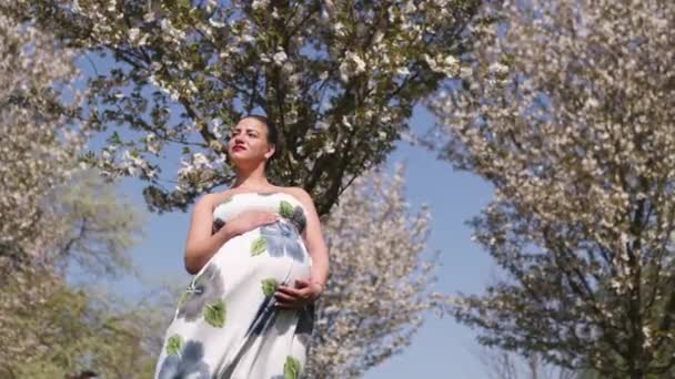 Lycklig ung snart att vara mamma mamma-ung resenär gravid kvinna åtnjuter sin fritid ledig tid i en park med blommande Sakura körsbärsträd bär en Sommarljus lång klänning med blommönster — Stockvideo