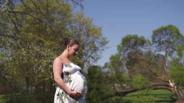 Giovane viaggiatore donna incinta a piedi, in esecuzione, girando intorno e gode il suo tempo libero in un parco con alberi di ciliegio sakura in fiore indossa un abito lungo luce estiva con motivo floreale — Video Stock