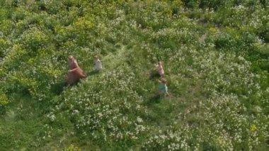 Anten: Genç sarışın hippi anne kaliteli zaman yürüyüş ve bir park karahindiba alanında onun bebek kız ile çalışan sahip - Kızları çilek baskı ile benzer elbiseler giymek - Aile değerleri