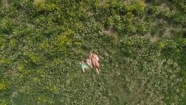 Aerial: Young blonde hippie mother having quality time laying with her baby girls at a park dandelion field - Daughters wear similar dresses with strawberry print - Family values — стоковое видео