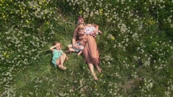 Aerial: Young blonde hippie mother having quality time laying with her baby girls at a park dandelion field - Daughters wear similar dresses with strawberry print - Family values — стоковое видео