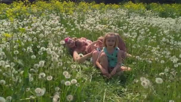 Antenne: Junge blonde Hippie-Mutter sitzt mit ihren kleinen Mädchen auf einem Löwenzahnfeld im Park - Töchter tragen ähnliche Kleider mit Erdbeer-Print - Familienwerte — Stockvideo