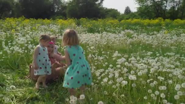Aerial: Young blonde hippie mother having quality time with her baby girls at a park dandelion field - Daughters wear similar dresses with strawberry print - Family values — Stock Video